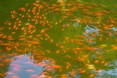 《小林家的龙女仆 炸裂!!天真龙☆吐息：导剪版》上线Steam 10月发售