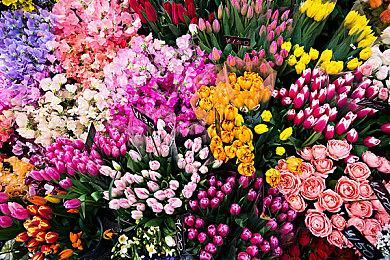 独立冒险《最后的火柴小女孩》公布 Steam页面上线