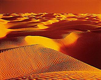 SE收入暴跌27% 此前成立部门审查蒂法胸部